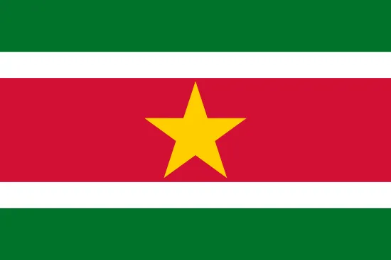 Suriname flag