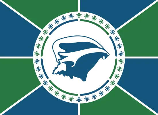 Martinique flag