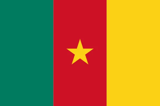 Cameroon flag