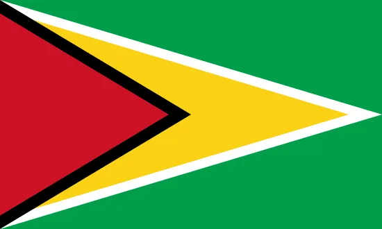 Guyana flag