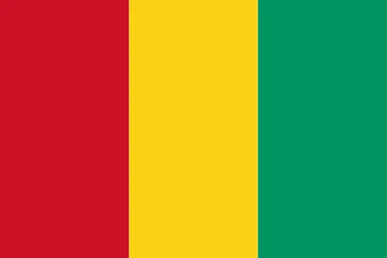 Guinea flag