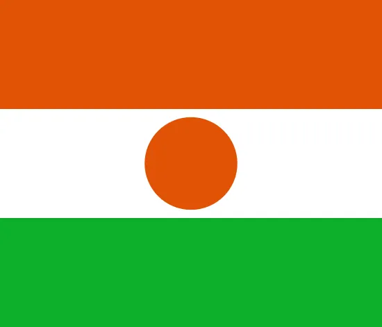 Niger flag