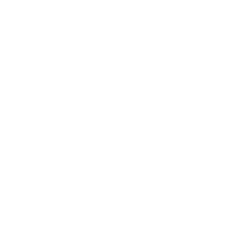 David Kipiani Cup logo