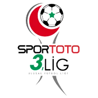 3. Lig: Group 3 logo