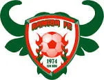 Championnat National logo