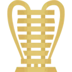 Copa do Nordeste logo