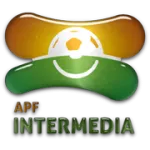 Division Intermedia logo