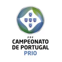 2. Division: Group D logo