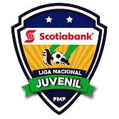 Liga Nacional Juvenil: Group 17 logo