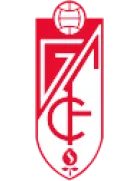Buzanada logo
