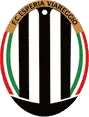 Viareggio logo