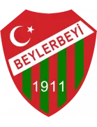 Beylerbeyispor logo
