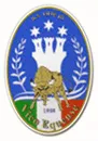 Vico Equense logo