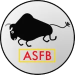 RC Bobo-Dioulasso logo