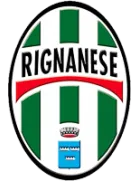 Vigasio logo