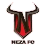 Toros Neza UTN logo