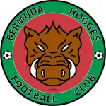 Bermuda Hogges logo