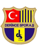 24 Erzincanspor logo