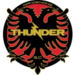 Dandenong Thunder logo