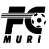 Muri logo