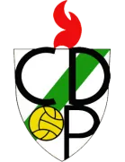 Pamplona logo