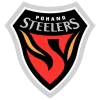 Pohang Steelers logo