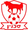 Bnei Sakhnin logo