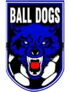 Ball Dogs logo