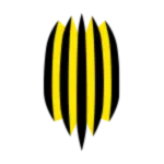 Rukh Vynnyky II logo