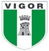 Vigor Lamezia logo
