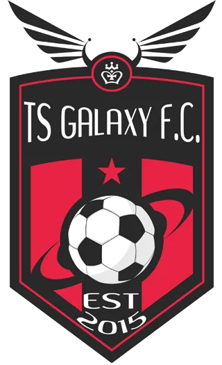 TS Galaxy logo