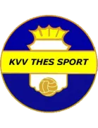 Thes Sport logo