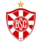 Botafogo BA logo