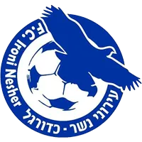 Ironi Nesher logo