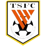 Shandong Taishan II logo
