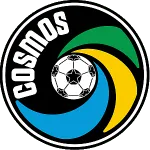 NY Cosmos logo