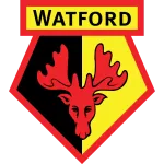 Watford W logo