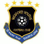 Wexford Youths logo