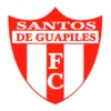 Santos de Guápiles logo