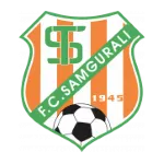 Samgurali II logo