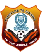 Police XI logo