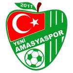 Yeni Amasyaspor logo