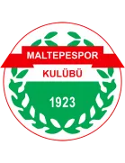 Maltepespor logo