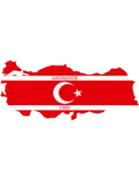 Vatanspor logo