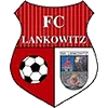 Lankowitz logo