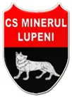 Minerul Lupeni logo