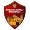 Portosummaga logo