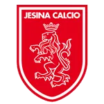 Jesina logo