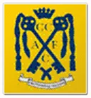 Cwmbran Celtic logo
