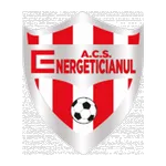 Viitorul Pandurii Targu Jiu logo